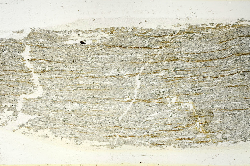 Plane Polarized, S89875