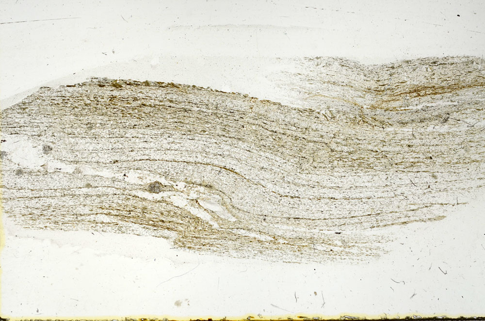 Plane Polarized, S89877