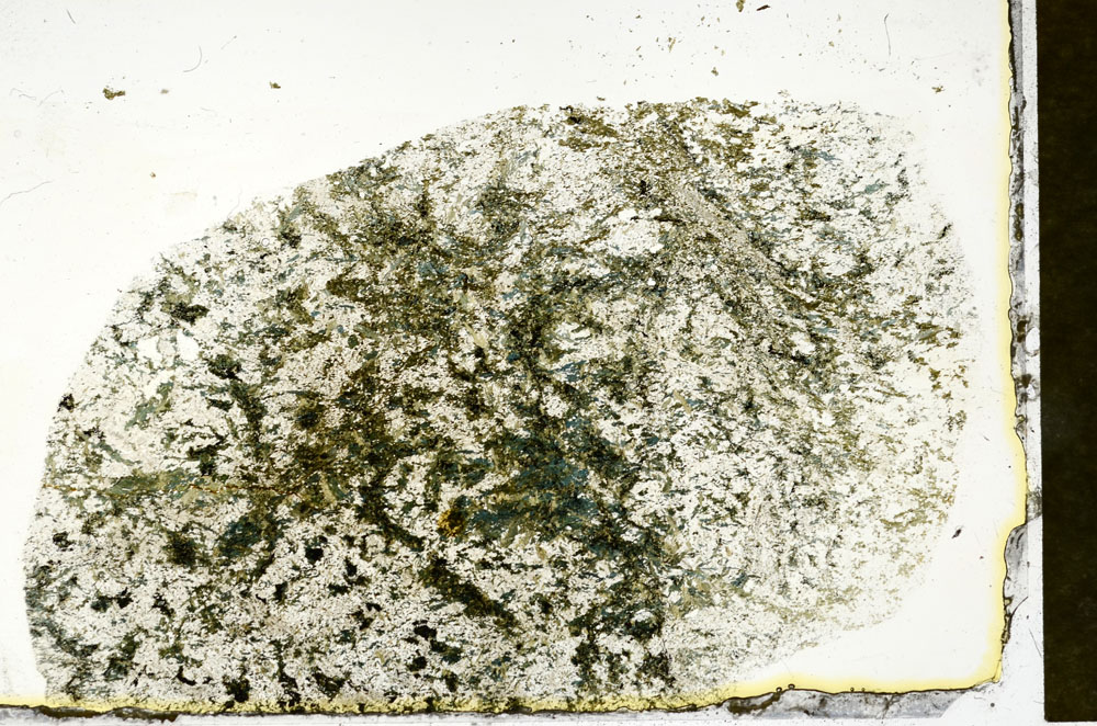 Plane Polarized, S89888