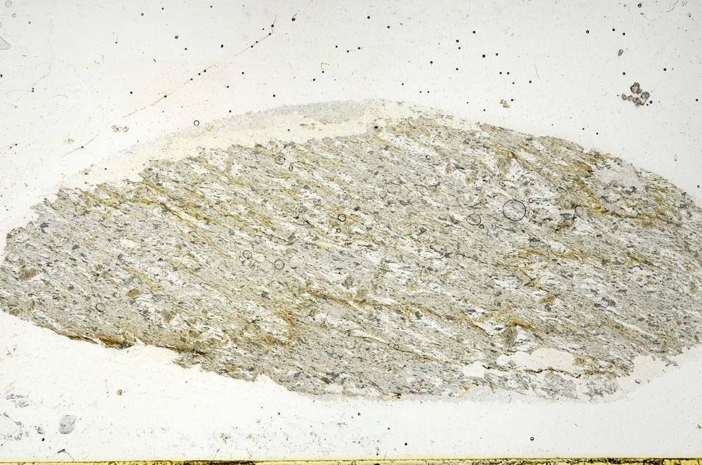 Plane Polarized, S89889