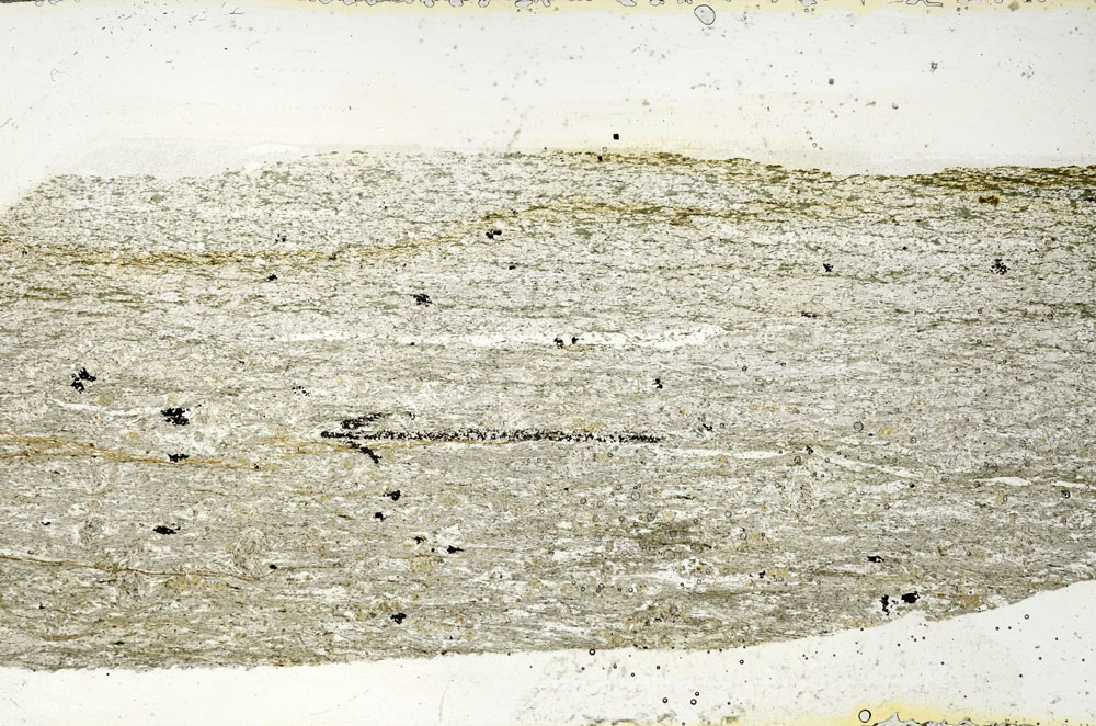 Plane Polarized, S89890