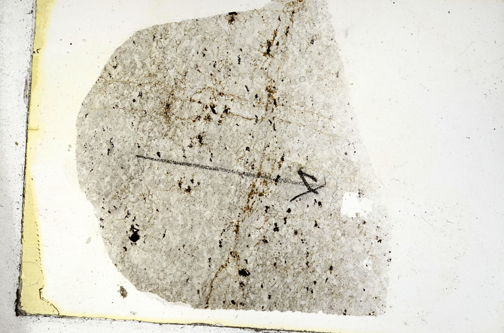Plane Polarized, S89891