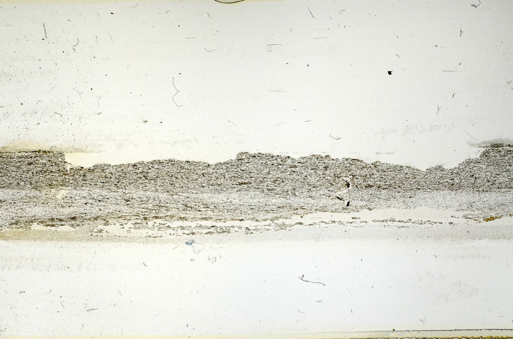 Plane Polarized, S89892