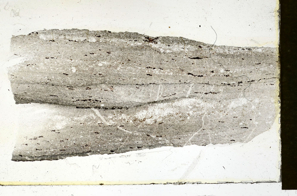 Plane Polarized, S89893