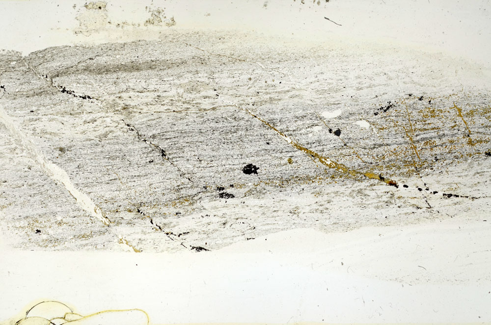 Plane Polarized, S89894