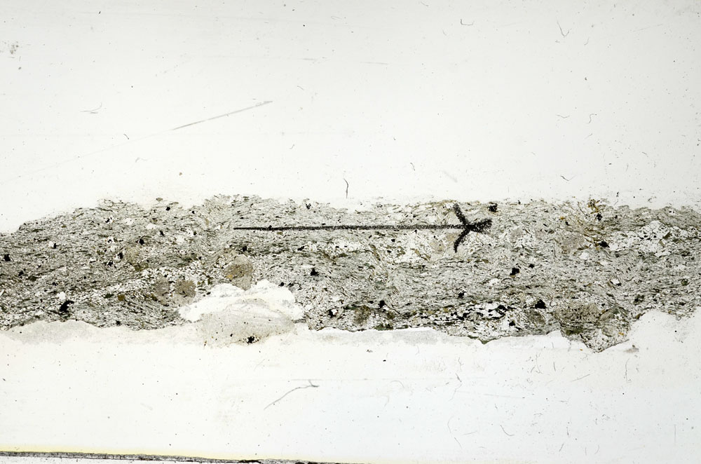 Plane Polarized, S89895