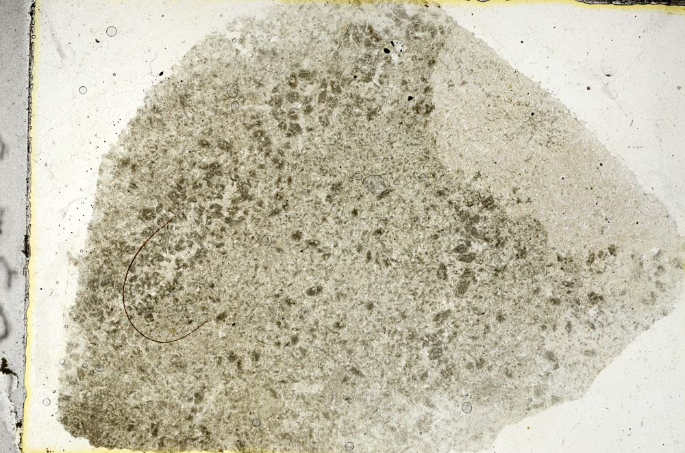Plane Polarized, S89897