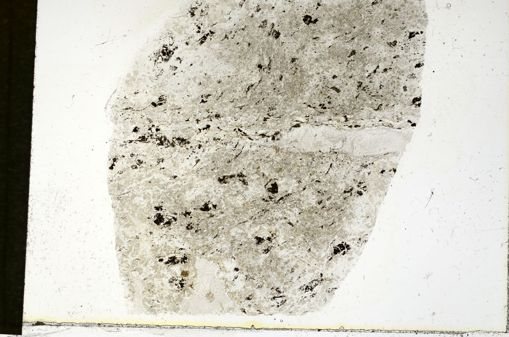 Plane Polarized, S89898
