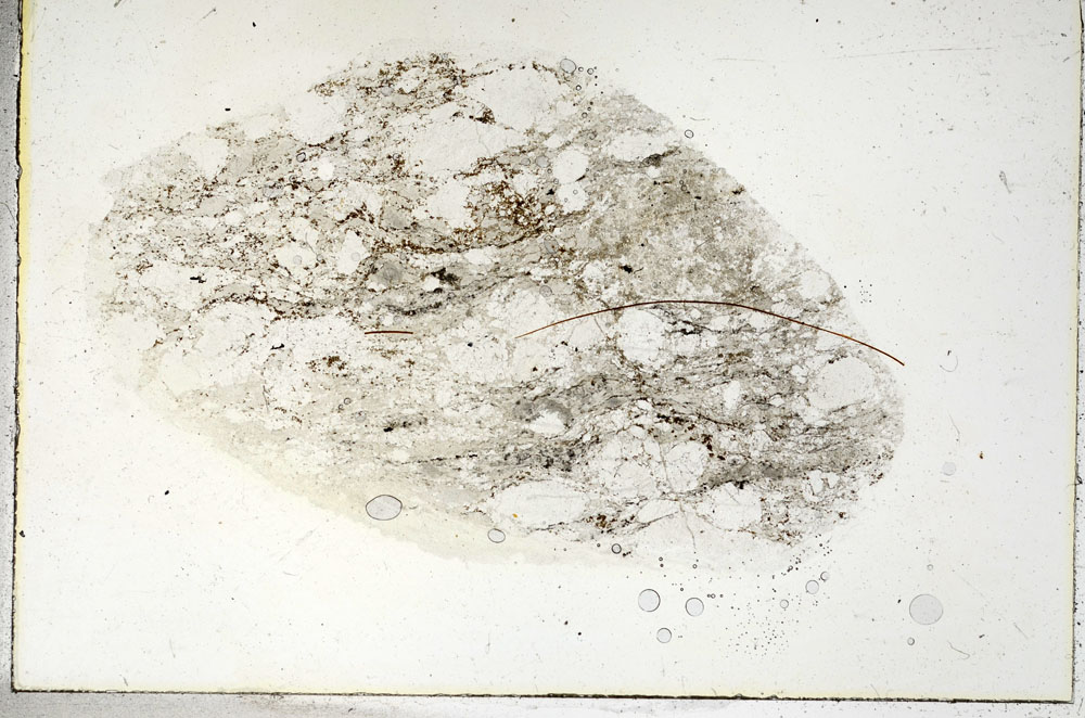 Plane Polarized, S89901