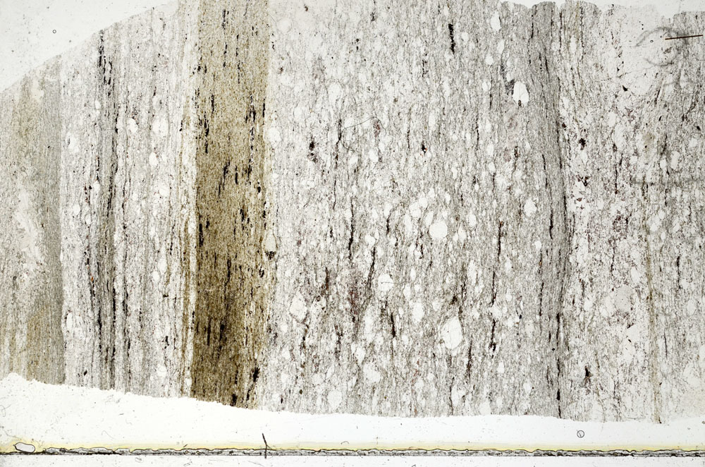 Plane Polarized, S89905
