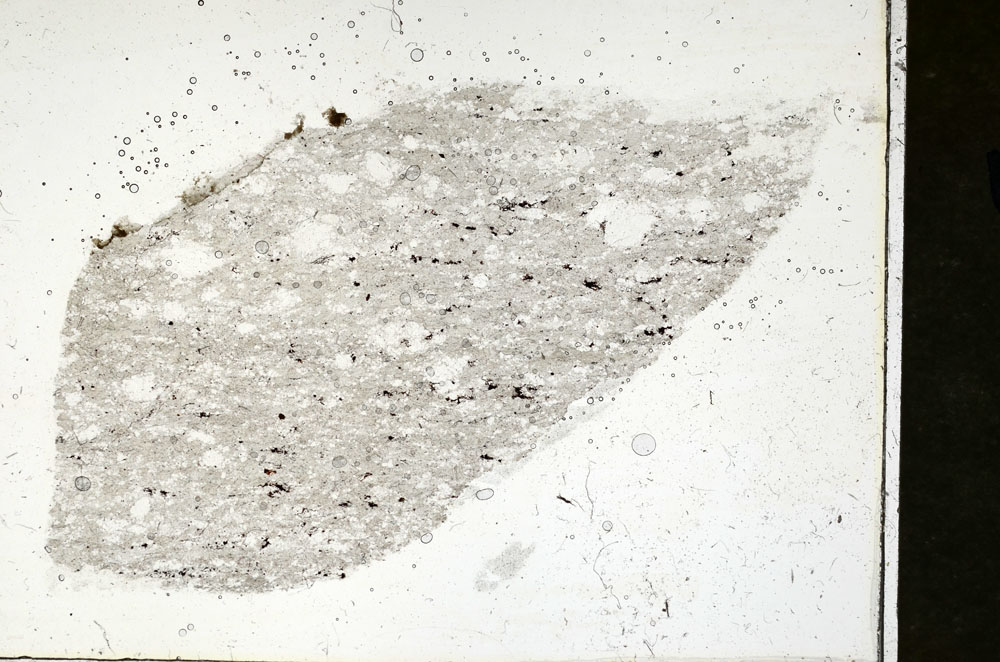 Plane Polarized, S89908