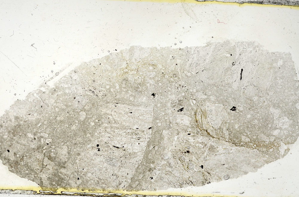 Plane Polarized, S89915
