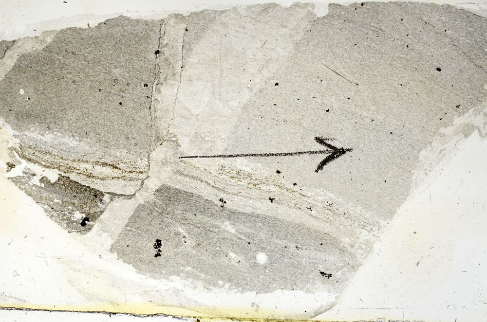 Plane Polarized, S89917