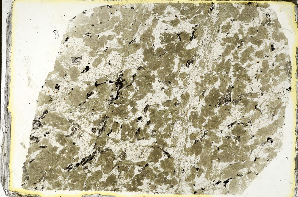 Plane Polarized, S89918