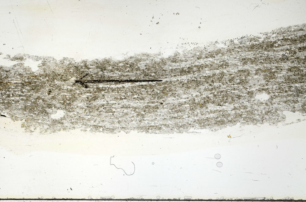 Plane Polarized, S89920