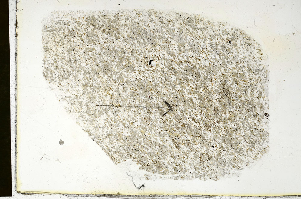 Plane Polarized, S89923