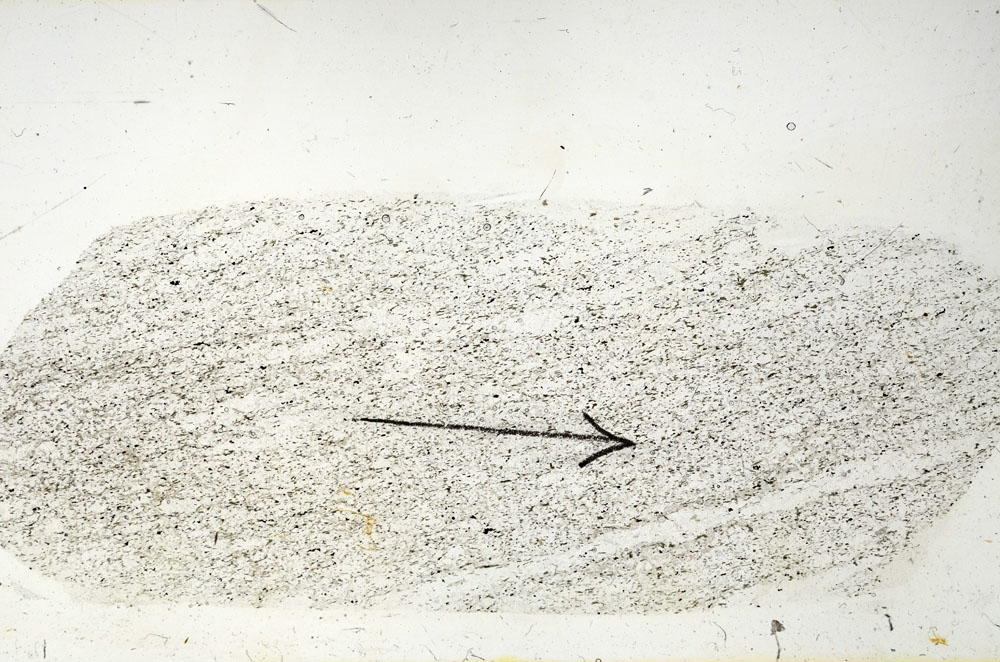 Plane Polarized, S89924