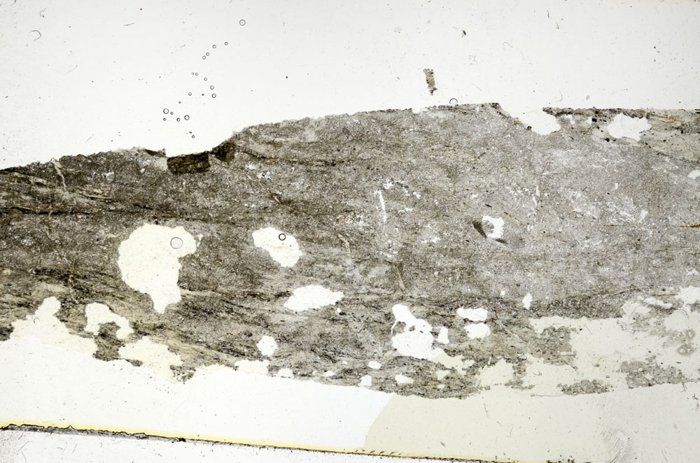 Plane Polarized, S89926
