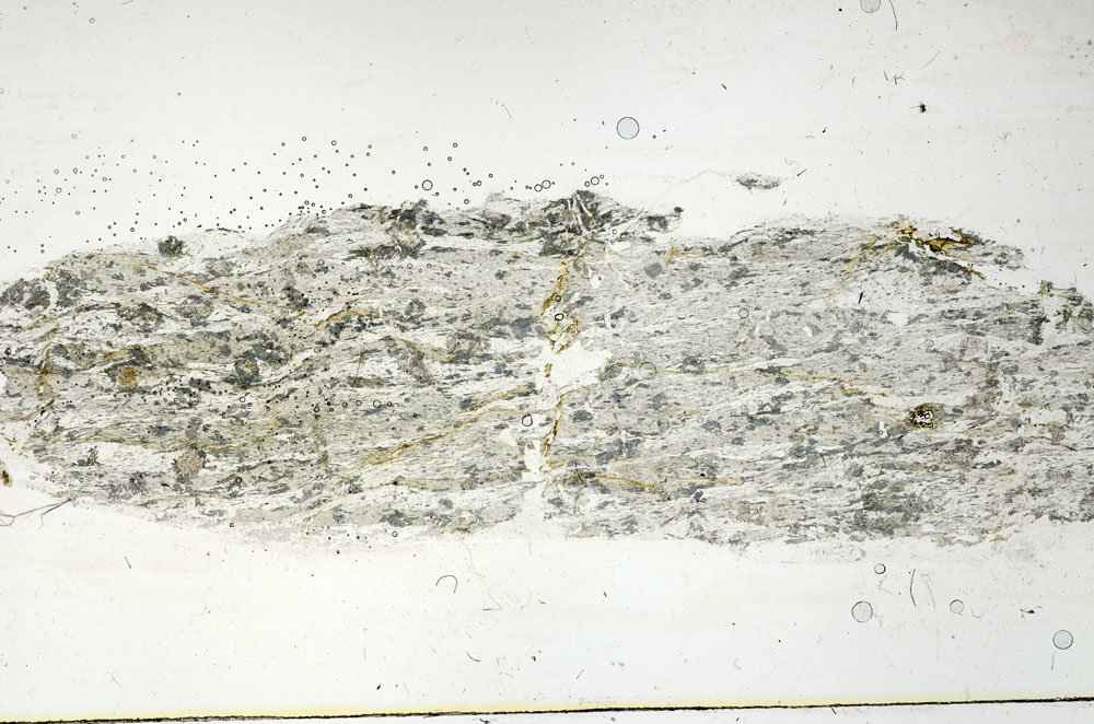 Plane Polarized, S89927