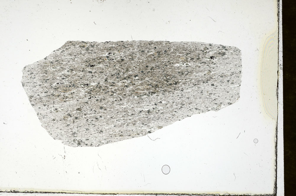 Plane Polarized, S89928