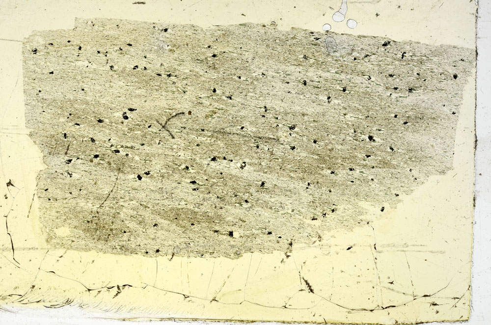 Plane Polarized, S89929
