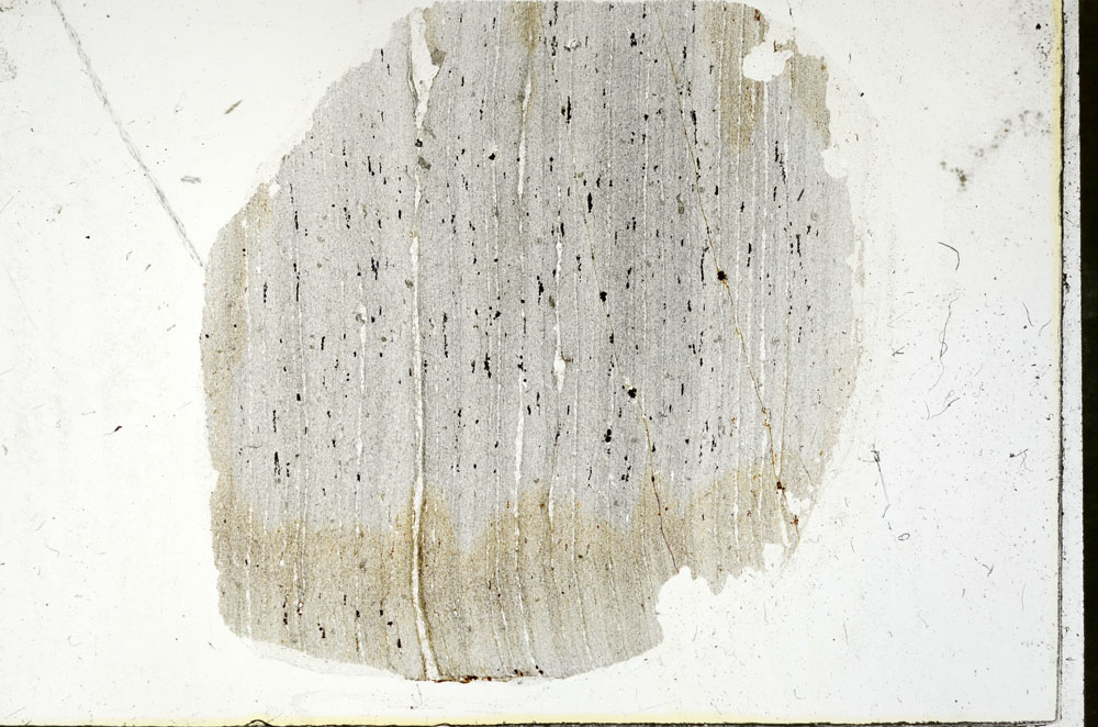 Plane Polarized, S89936