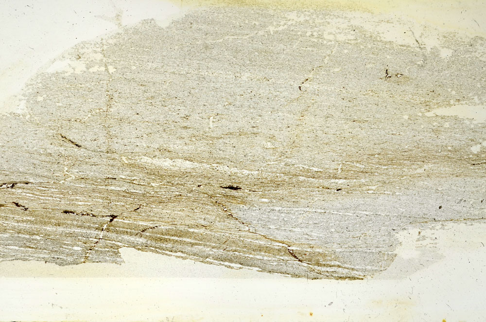 Plane Polarized, S89938