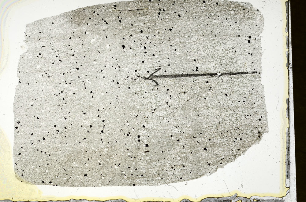 Plane Polarized, S89939