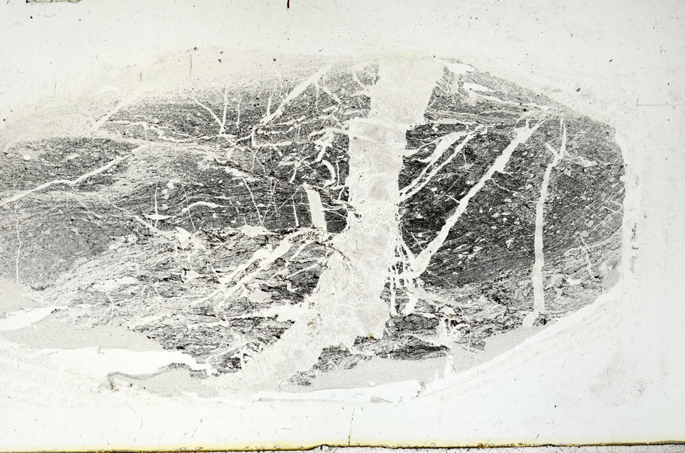 Plane Polarized, S89941