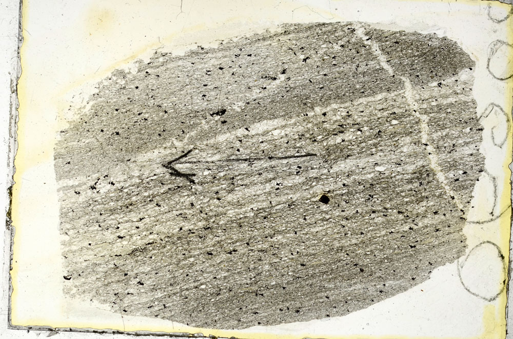 Plane Polarized, S89943