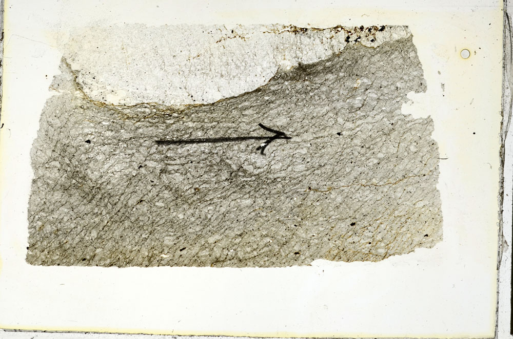 Plane Polarized, S89946