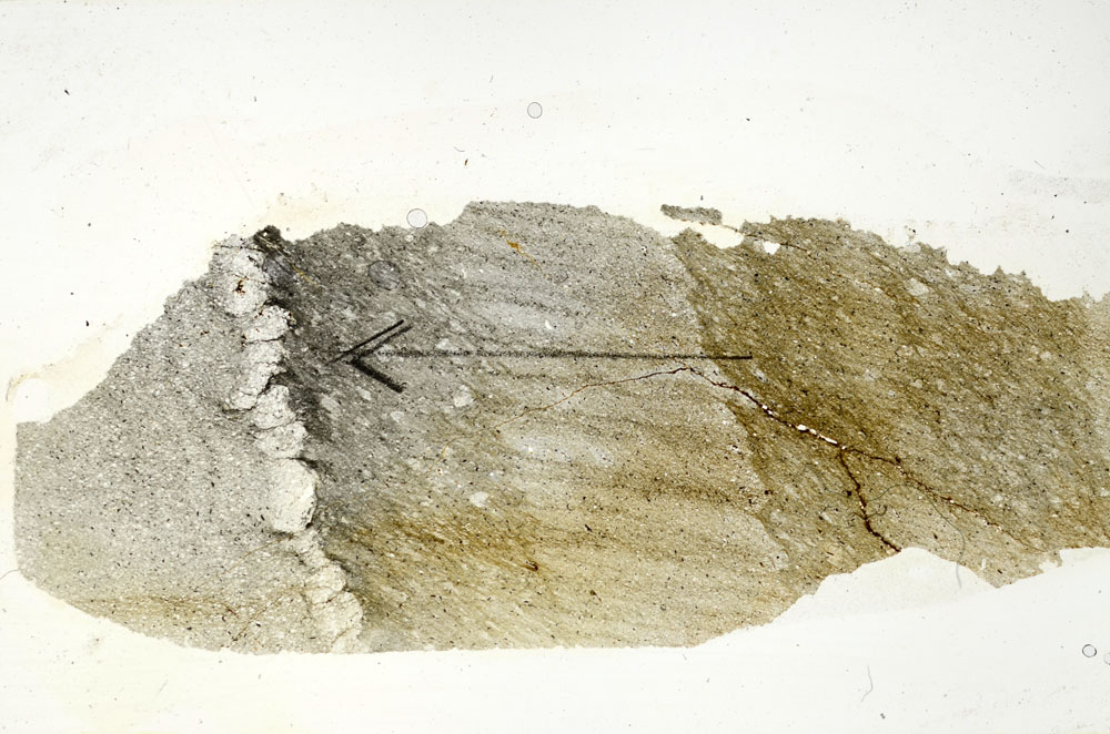 Plane Polarized, S89947
