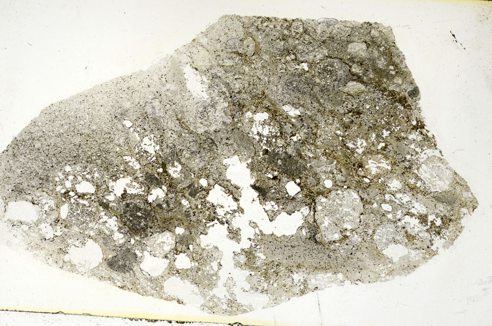 Plane Polarized, S89950