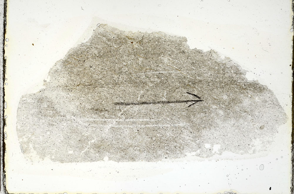 Plane Polarized, S89951