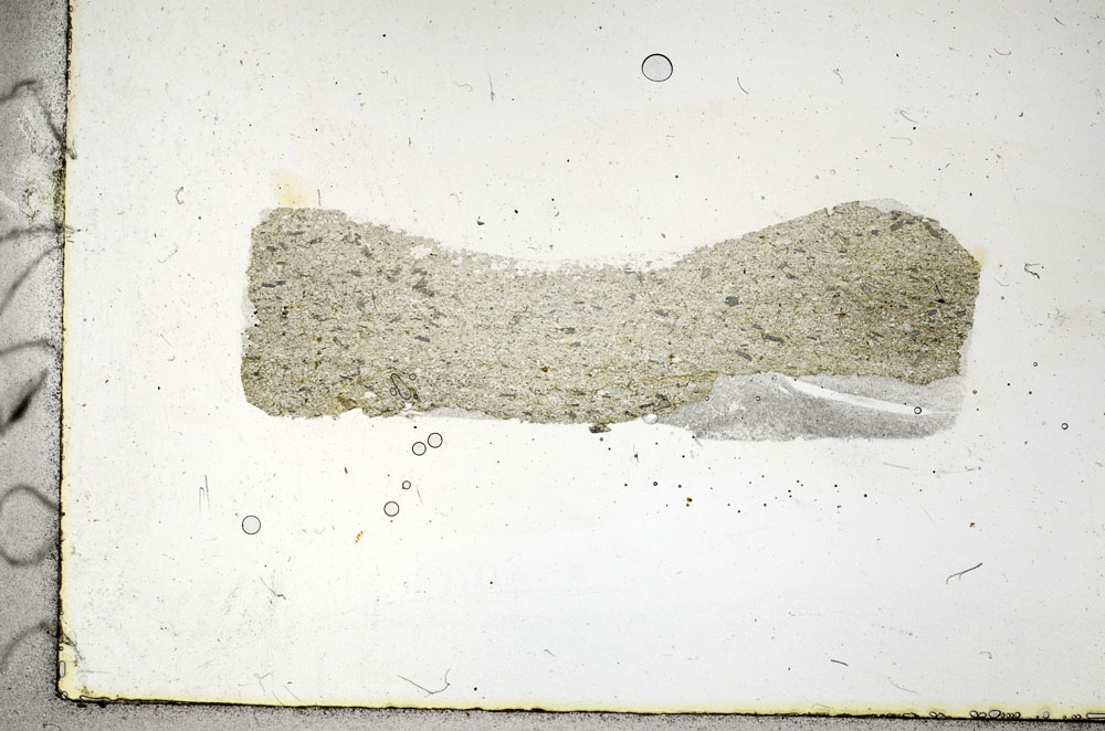Plane Polarized, S89952
