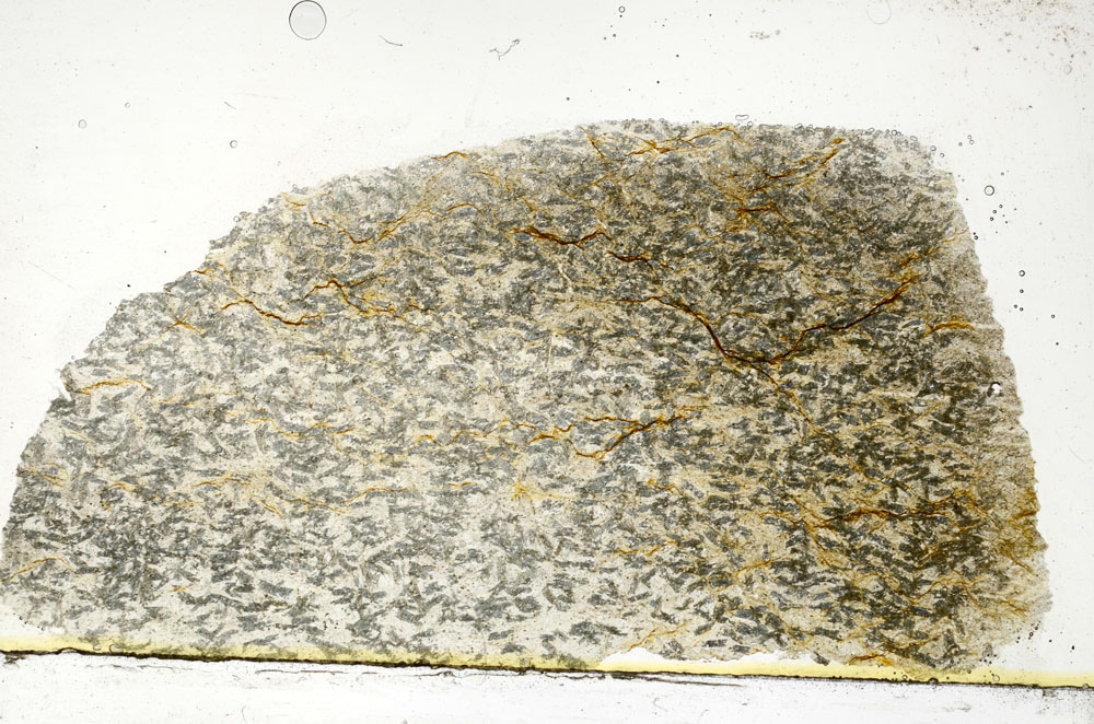 Plane Polarized, S89953