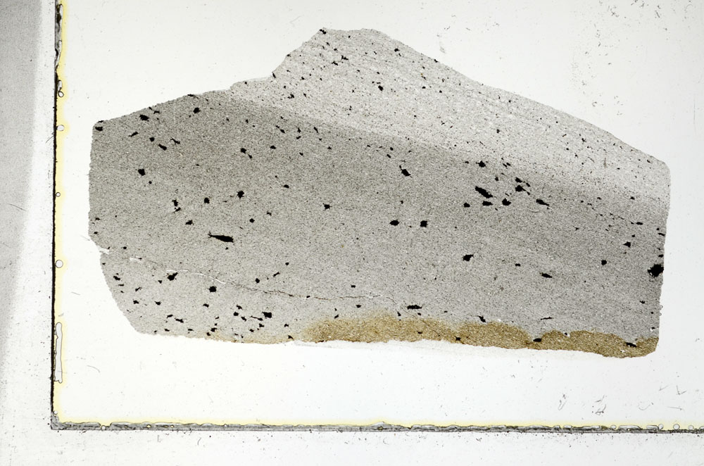 Plane Polarized, S89957