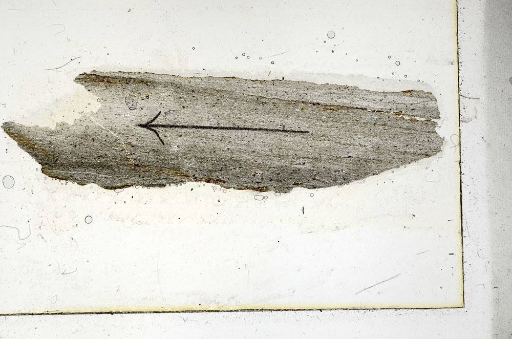 Plane Polarized, S89959