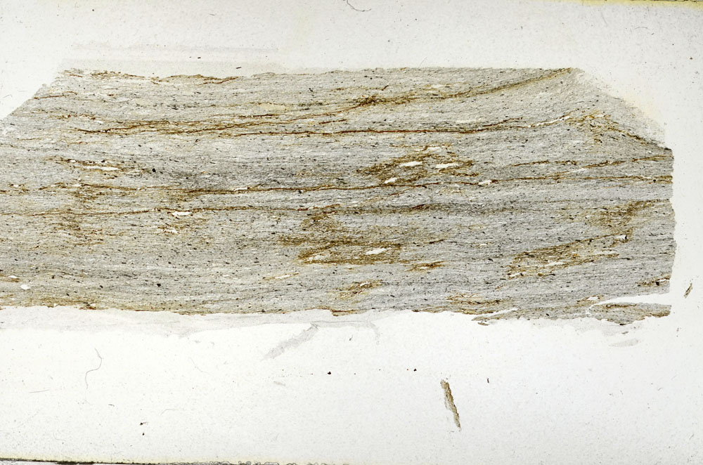 Plane Polarized, S89960