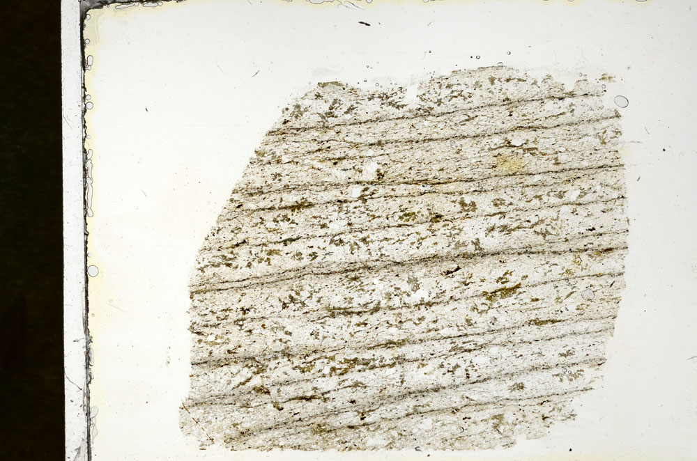 Plane Polarized, S89962