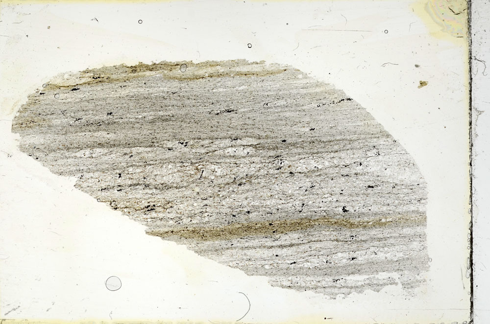 Plane Polarized, S89964