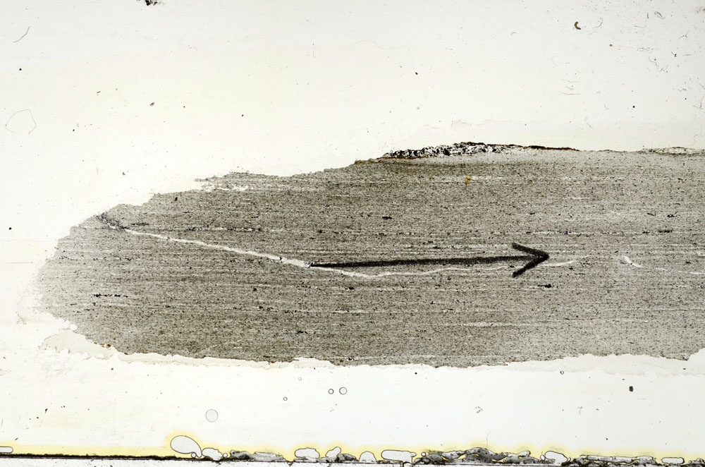 Plane Polarized, S89965