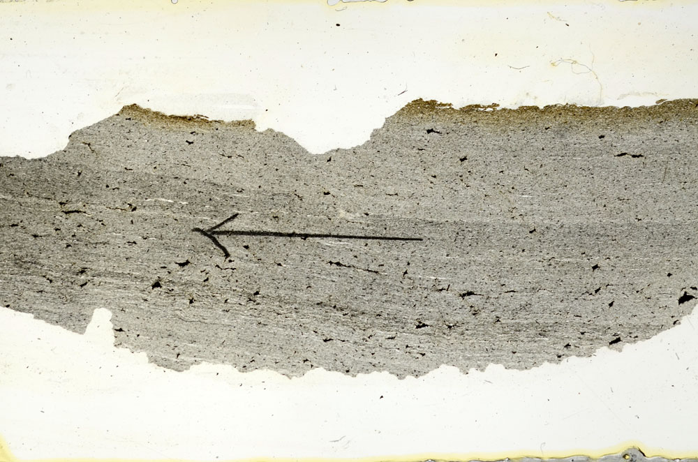 Plane Polarized, S89966