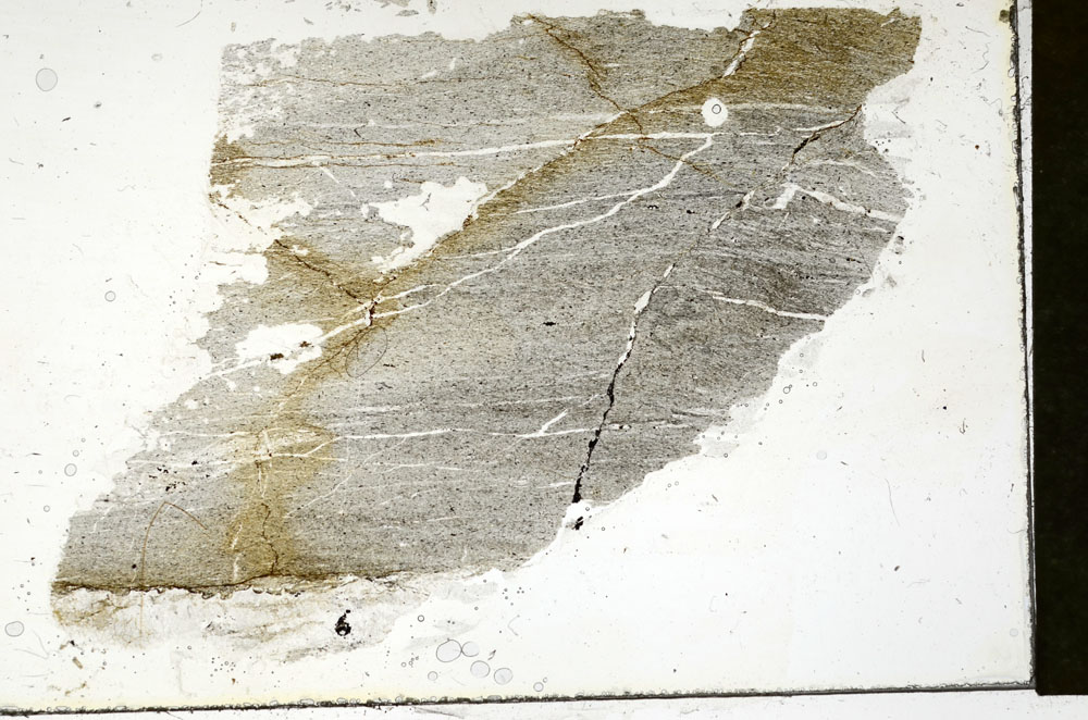 Plane Polarized, S89967