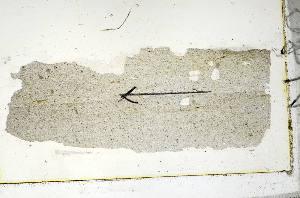 Plane Polarized, S89968