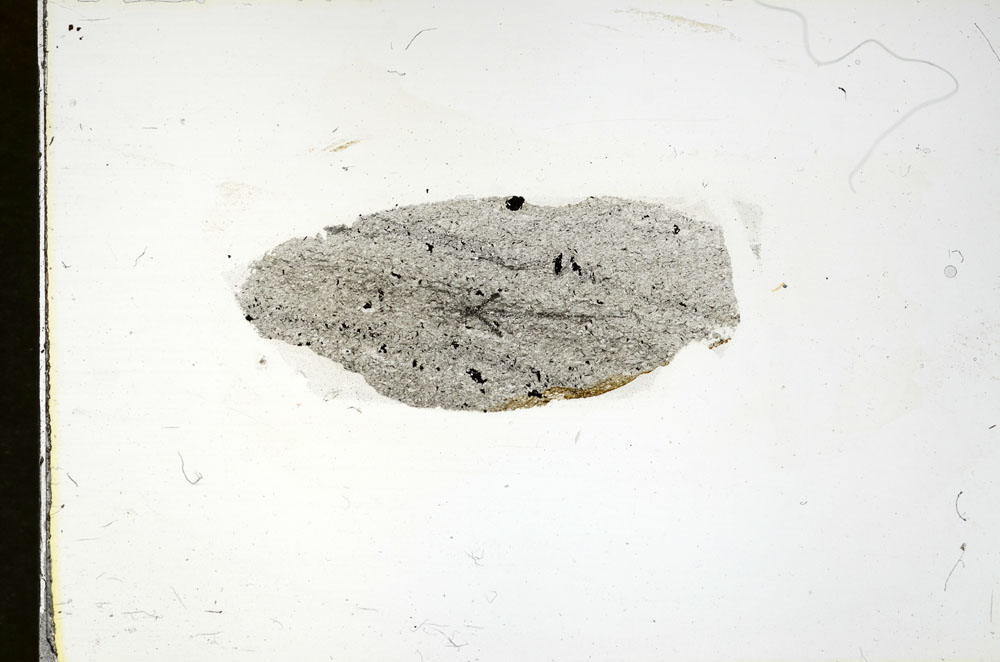 Plane Polarized, S89969