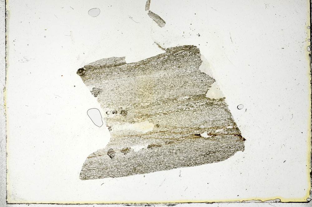 Plane Polarized, S89971