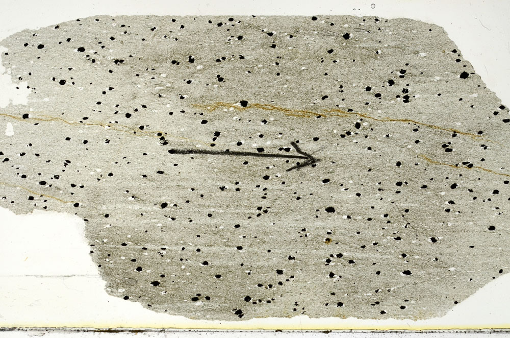 Plane Polarized, S89975