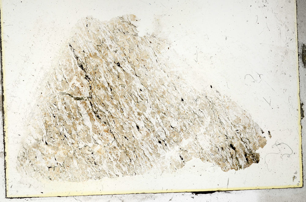 Plane Polarized, S89977
