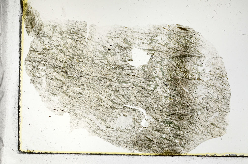 Plane Polarized, S89982